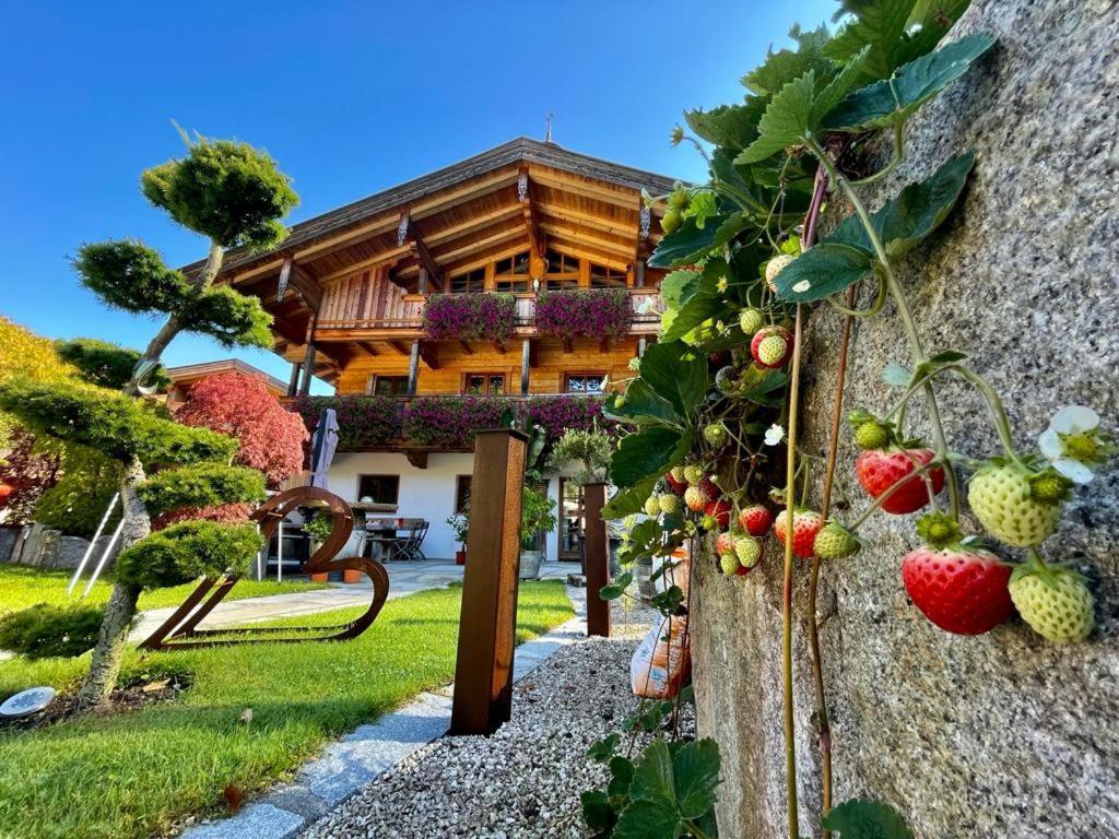 Apartment Anni Im Paradies
